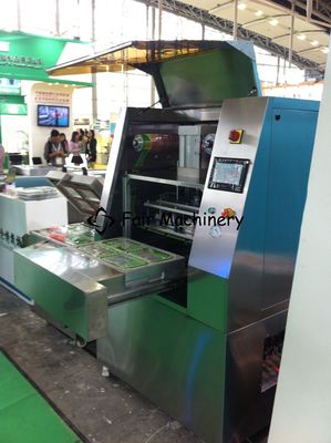 60VAC 4BPM Industrial Vacuum Sealing Machine Boxed Fresh Meat Food Sealer SUS304